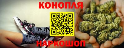 каннабис Гатчина