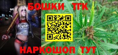 эйфоретик Гай