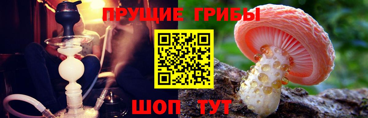 Нарткала  Псилоцибиновые грибы GOLDEN TEACHER  Вход с VPN 